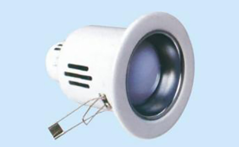 Incandescent Down Light1.jpg